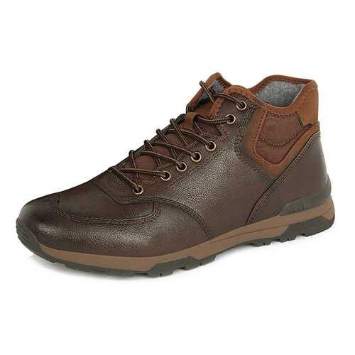 Ботинки мужские T.Taccardi 710018453 коричневые 43 RU в Бершка