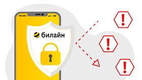Beeline Кыргызстан: услуги и возможности в Бершка