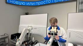 Что можно использовать вместо праймера в Бершка