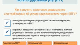 Что такое ФНС в Госуслугах в Бершка