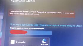 Что такое логи для поддержки Steam в Бершка