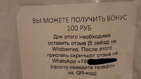 Как оставить отзыв на Wildberries в Бершка