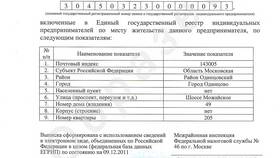 Как получить выписку из ЕГРИП для индивидуального предпринимателя в Бершка