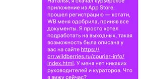 Как происходит доставка на Wildberries в Бершка