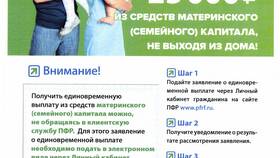 Как узнать ПФР физического лица в Бершка