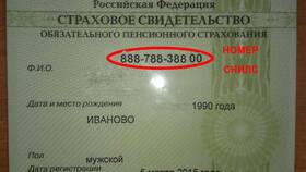 Как узнать свой СНИЛС через интернет в Бершка