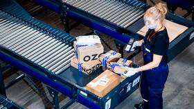 Критика работы сервиса Ozon в Бершка