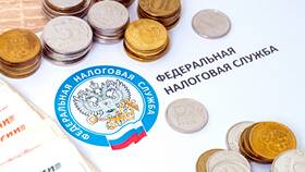 Нет денег на уплату налогов: что делать в Бершка