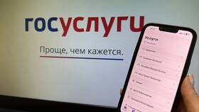 Почему не приходит постановление на Госуслуги в Бершка