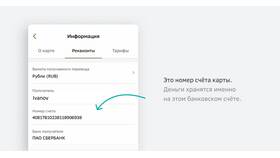 Счет 42306810 в Сбербанке: назначение и особенности в Бершка