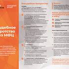 Как оформить банкротство через МФЦ: пошаговая инструкция