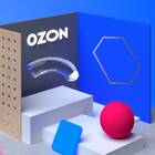 Как выдавать карты Ozon в пункте выдачи
