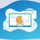 Зачем используют cookies на веб-сайтах